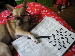 dog and puzzle