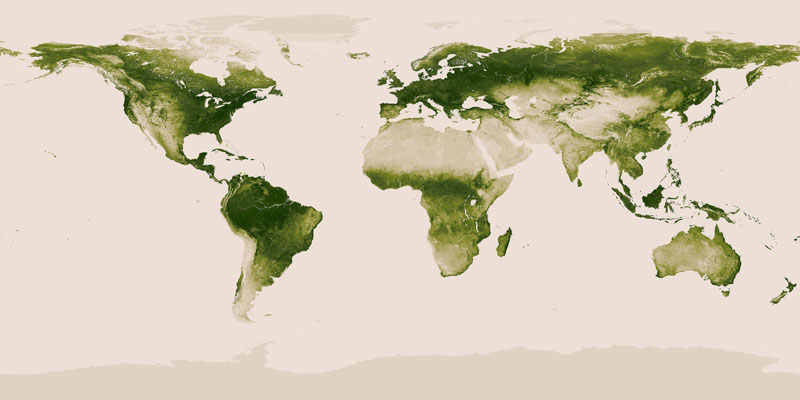 map-of-vegetation-on-earth