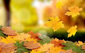falling leaves)