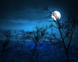 moon and trees image